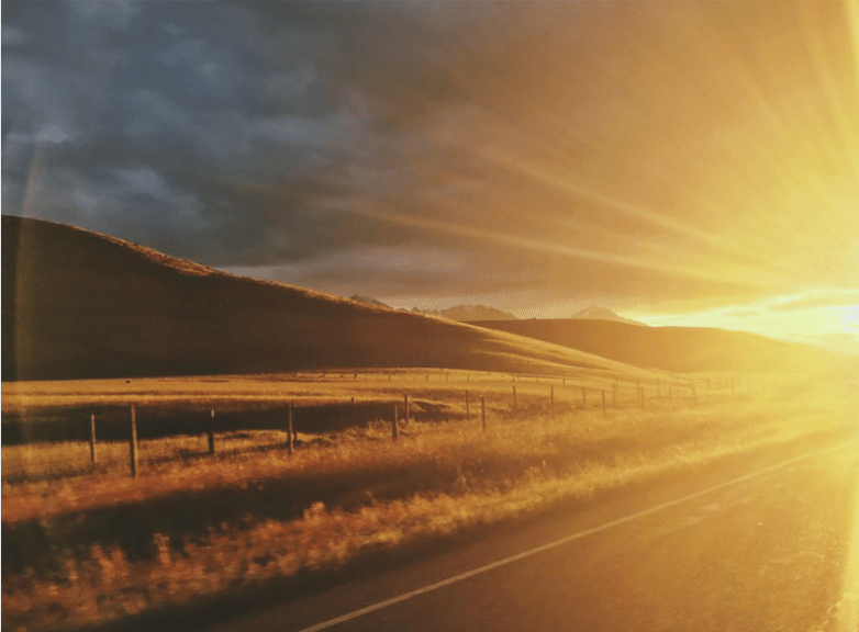 sunshine on a new zealand road